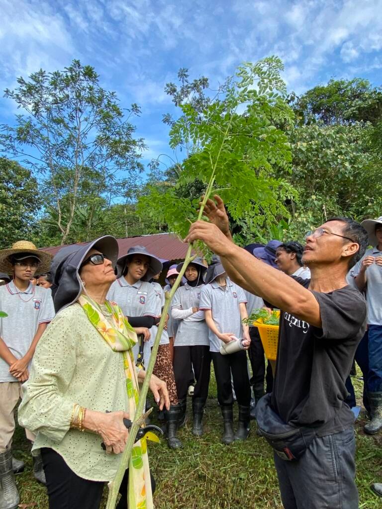 Exploring the Moringa mini forest together