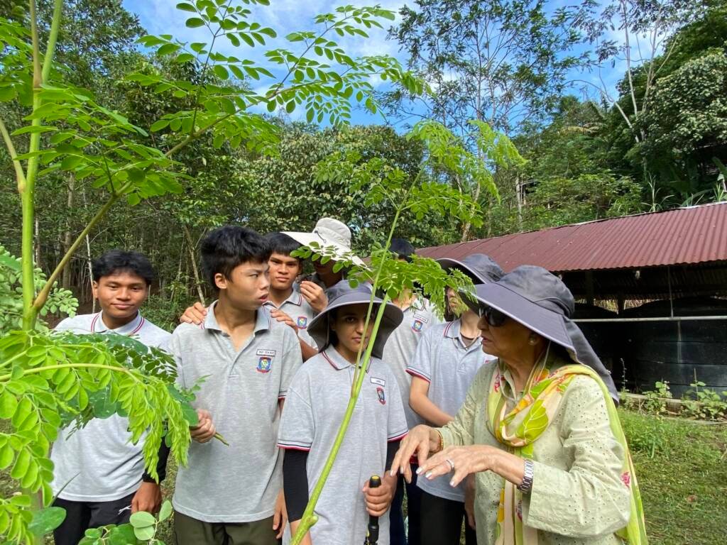 Students with Aunty Mohana among the young Moringa trees